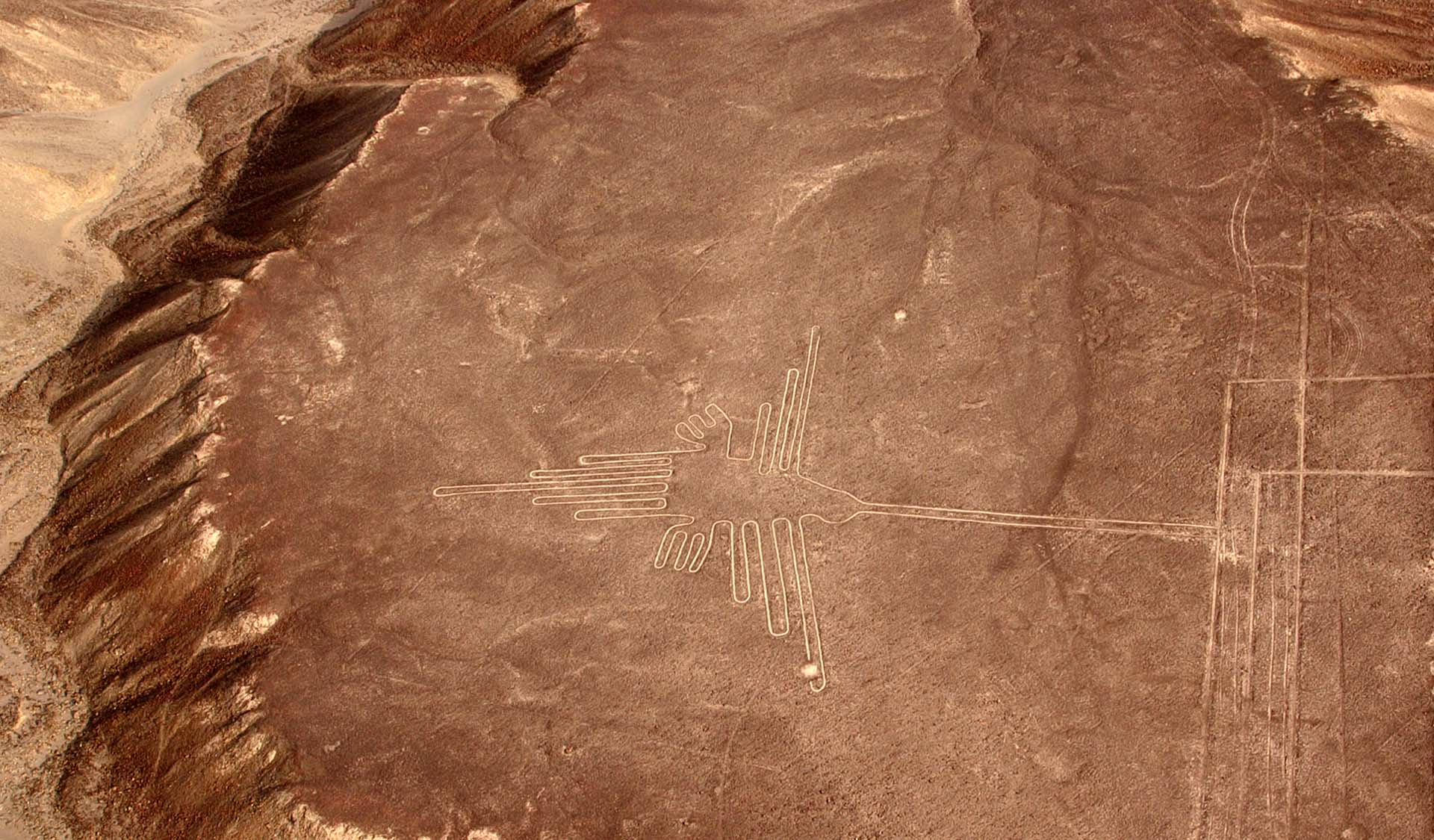 Nazca Lines In Peru: Everything You Need To Know - Orange Nation Peru