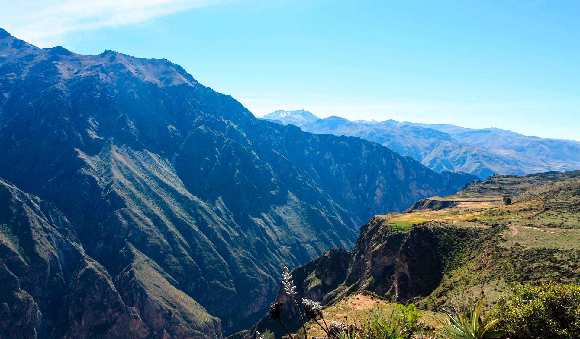 Travel Guide For Colca Canyon In Arequipa - Orange Nation Peru