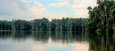 Tambopata macaw clay lick and Sandoval lake 9 days - Orange Nation Peru